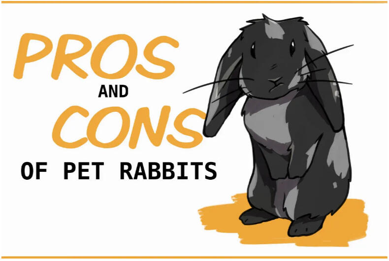 rabbit illustration. text: pros and cons of pet rabbits. (interactive image)